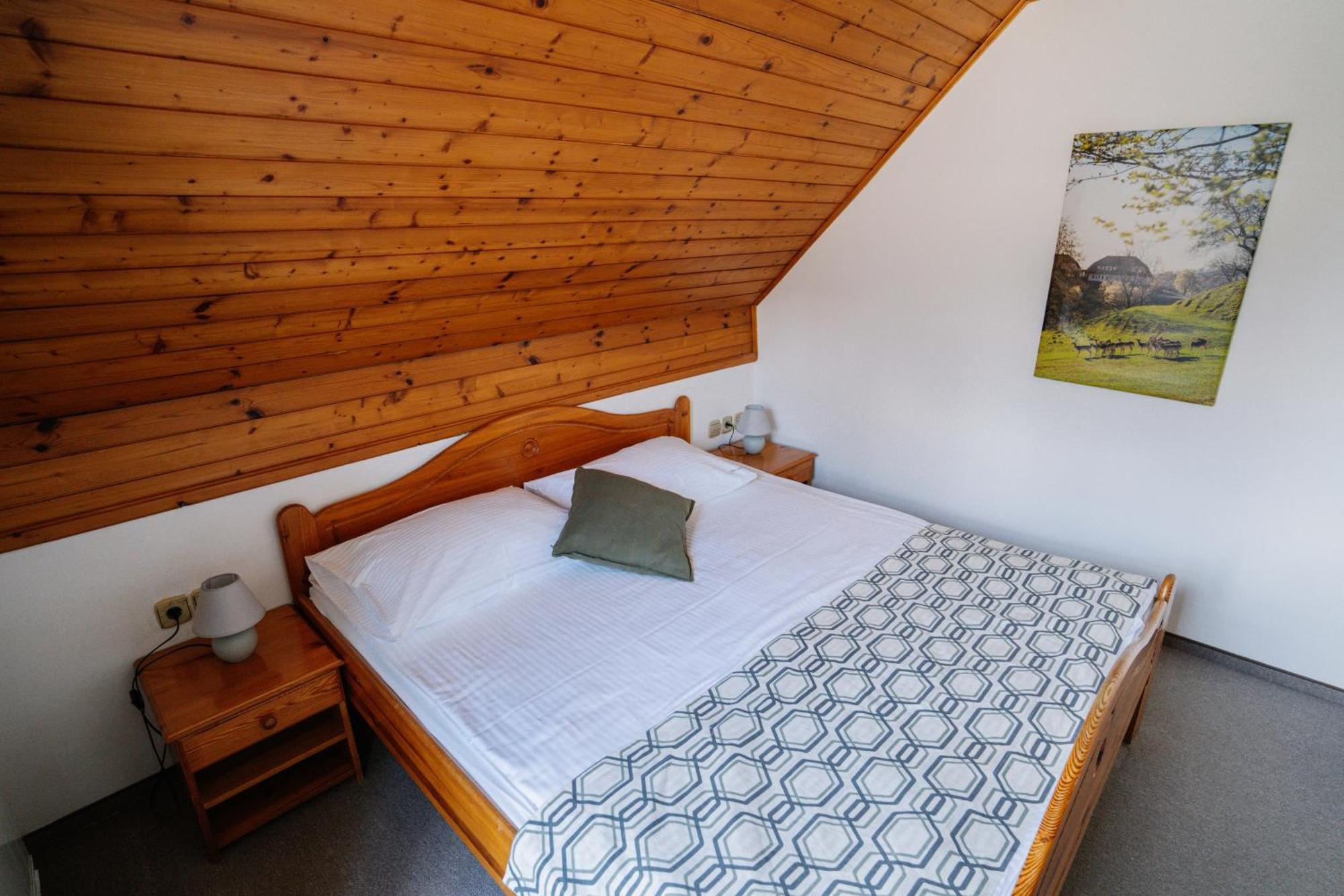 פודצ'טרטק Guesthouse Jelenov Greben מראה חיצוני תמונה